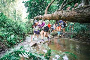 BIB: 
                            <button type="button" onclick="openModal(25516366)" class="btn btn-primary btn-sm float-right btn-popup" data-toggle="modal" data-target=".modal-high-quality">
                        <i class="fas fa-shopping-cart"></i> Add to Cart
                    </button>
                                            <button type="button" onclick="isThisMe(25516366, true)" class="btn btn-success btn-sm float-right btn-popup btn-isme hidden" data-toggle="tooltip" data-placement="bottom" title="นี่คือรูปของคุณใช่ไหม คลิกที่นี่เพื่อเอาเข้าอัลบั้ม">
                        <i class="fas fa-plus"></i> Add to album
                    </button>
                    <button type="button" onclick="isThisMe(25516366, false)" class="btn btn-warning btn-sm float-right btn-popup btn-isnotme hidden">
                        <i class="fas fa-ban"></i> Remove from album
                    </button>